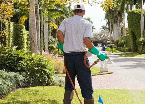 About Cream Ridge NJ Pest Control Pros